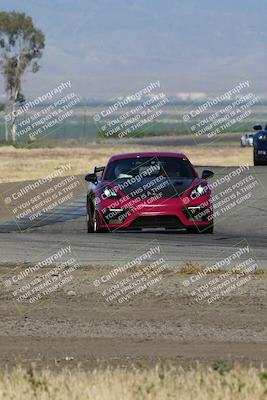 media/May-03-2024-PCA Central Coast (Fri) [[eaa7da0ee1]]/Yellow Group/Session 1 (Grapevine)/